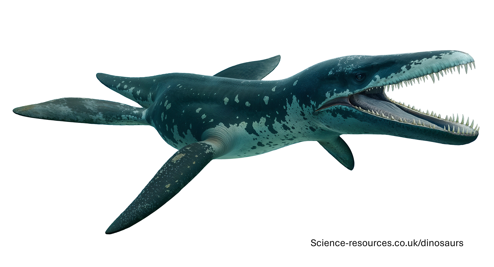 A realistic image of Liopleurodon