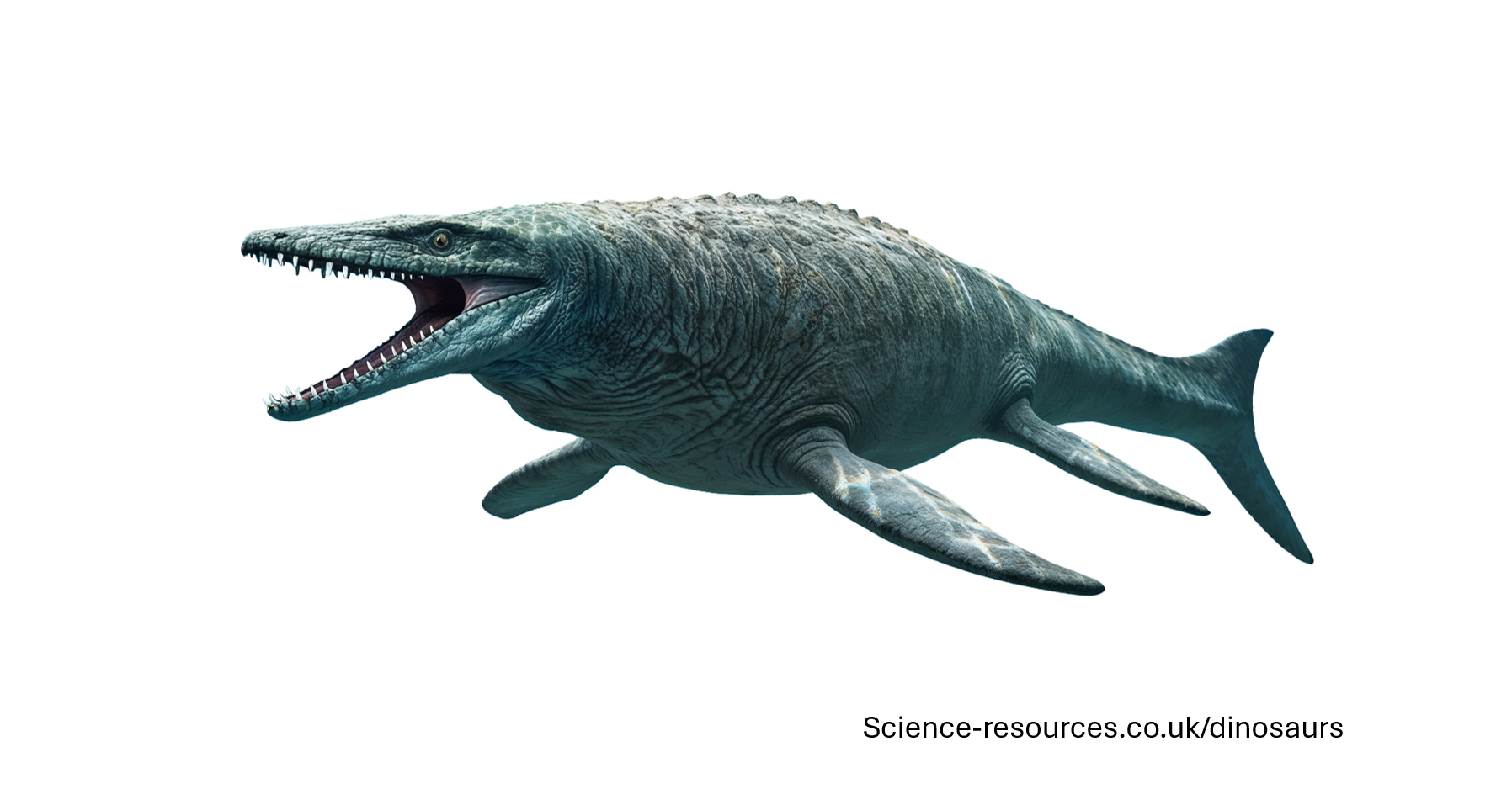 A realistic image of Mosasaurus