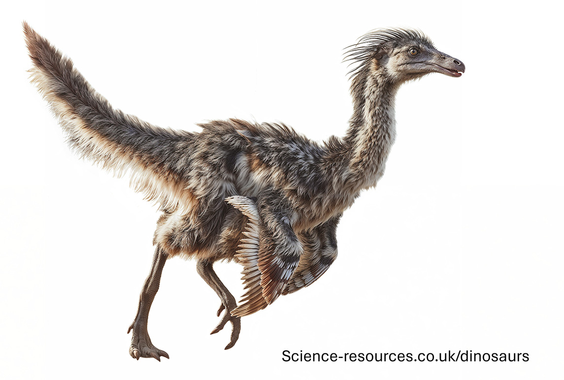 A realistic image of a Ornithomimus dinosaur.