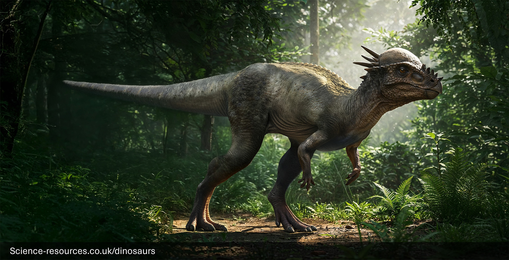 A realistic render of a Pachycephalosaurus Dinosaur in a prehistoric forest.
