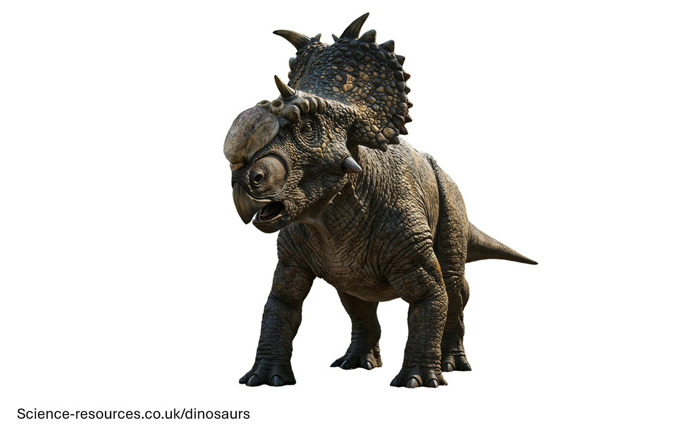 A realistic image of Pachyrhinosaurus
