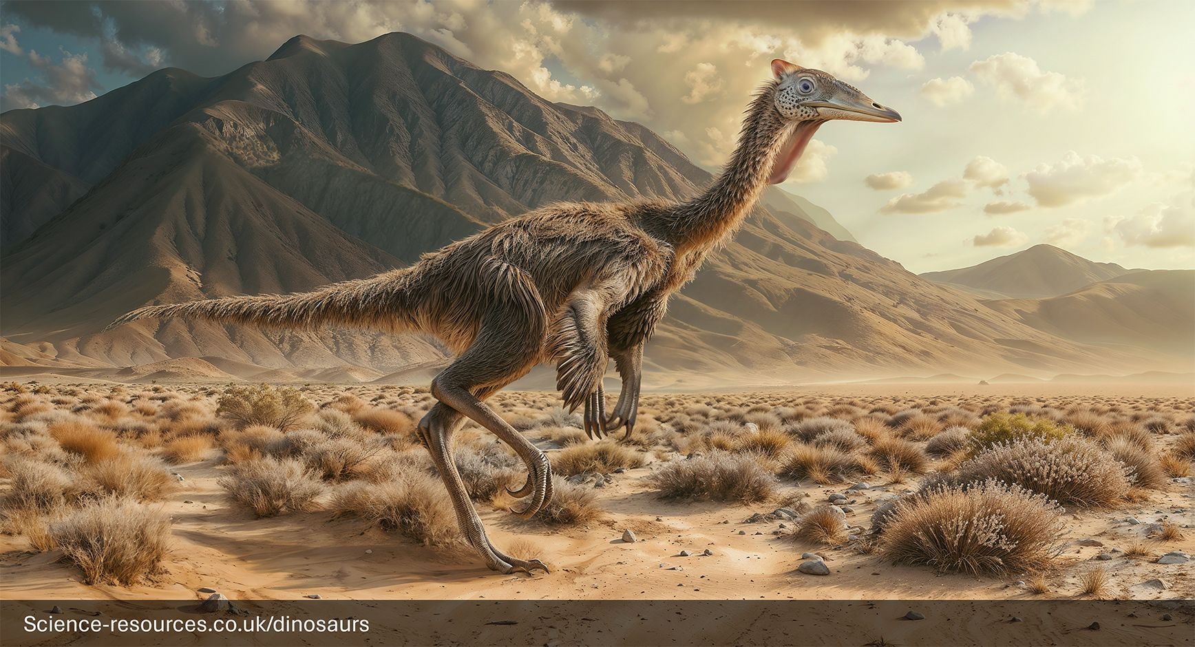 A realistic depiction of a Pelecanimimus dinosaur in a prehistoric desert setting. The dinosaur is standing on one leg as if poised ready to run. In the background are mountains.