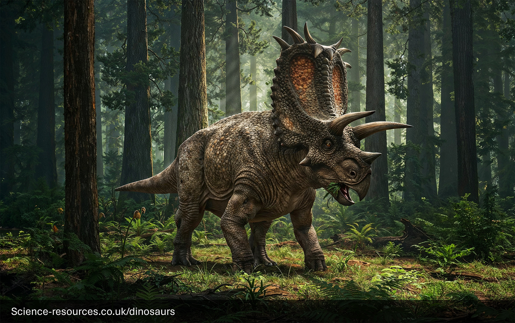 A realistic rendering of a Pentaceratops dinosaur in a prehistoric foreest setting.