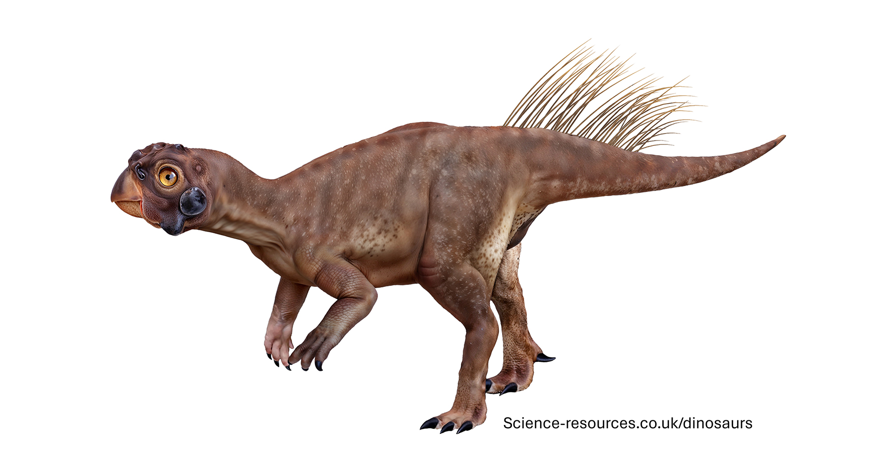 A realistic image of a Psittacosaurus dinosaur.