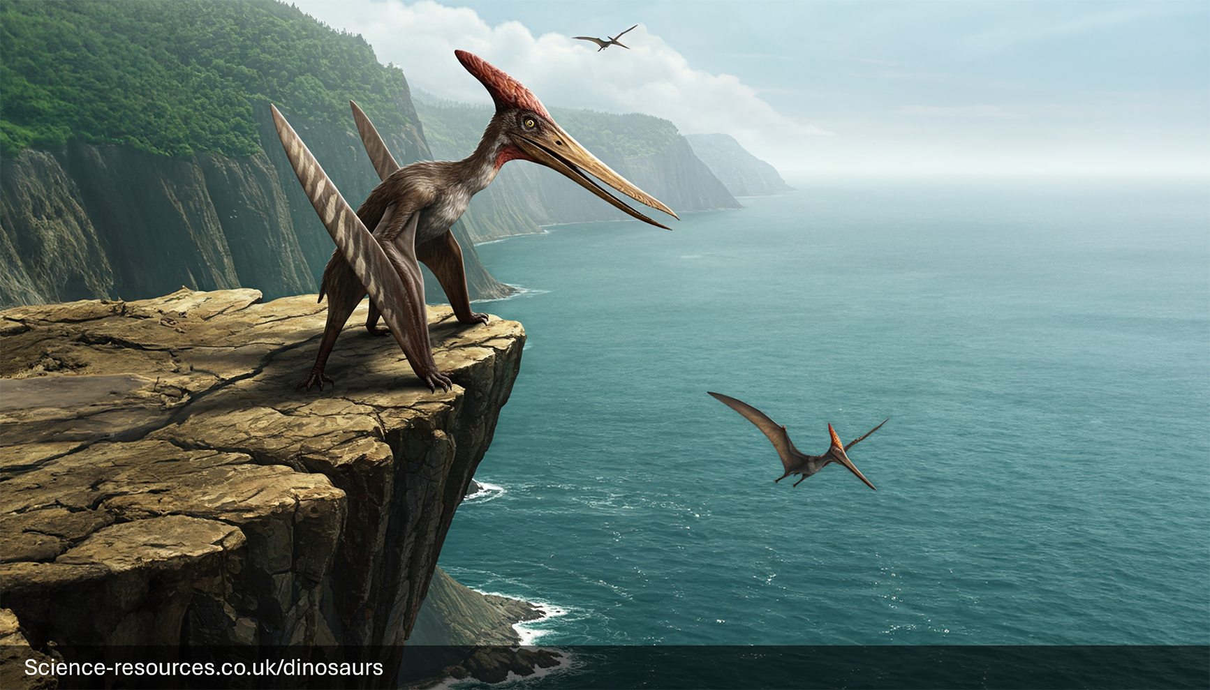 A realistic depiction of a Pteranodon perched on a cliff top overlooking a prehistoric ocean. In the background, other Pteranodons can be seen flying in the distance.