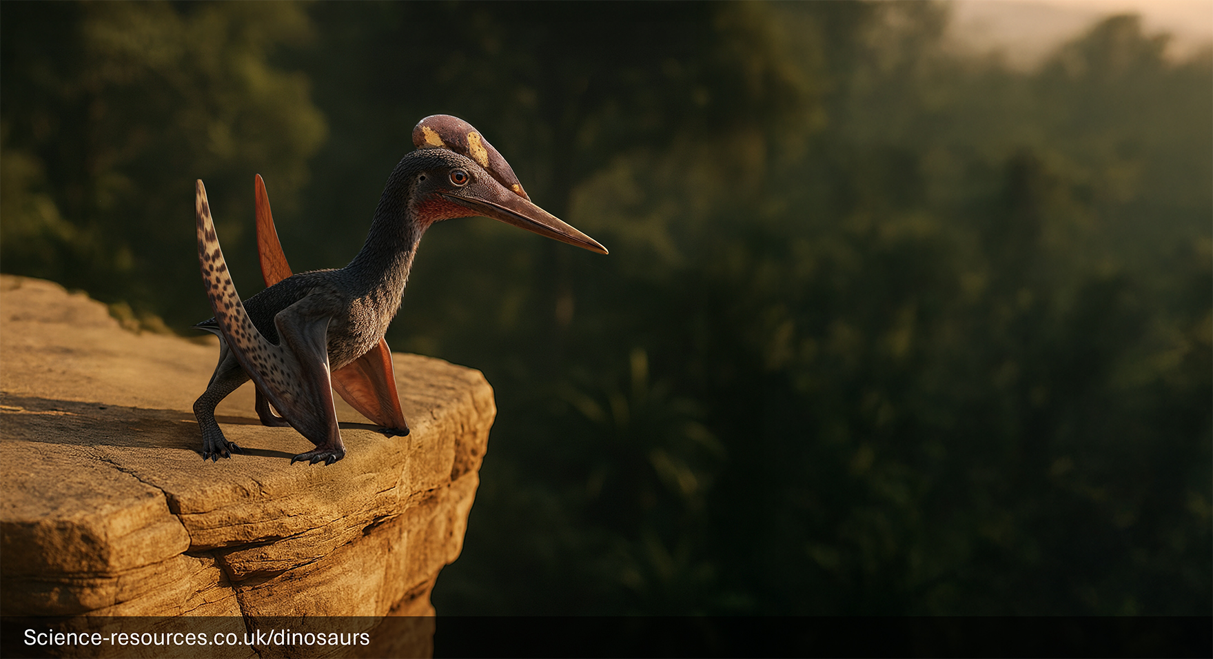 A realistic image of a Pterodactylus (tiny Pterosaur) perched on the edge of a cliff face. In the background is a Prehistoric forest.