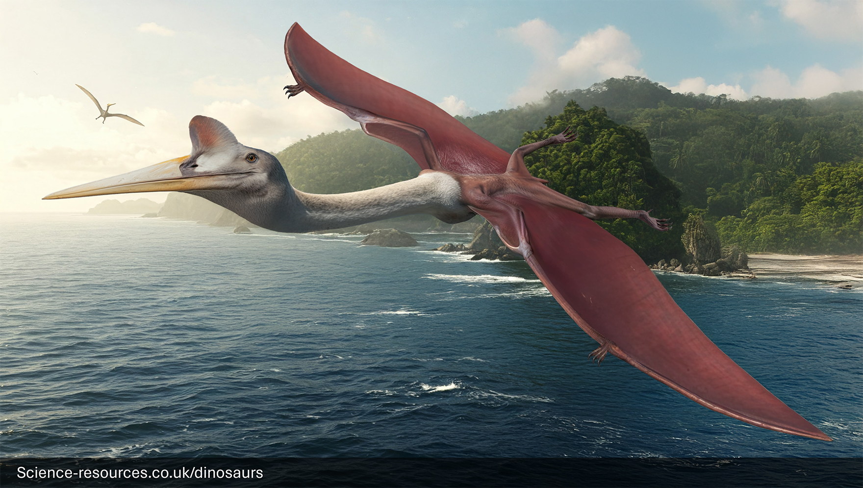 A realistic depiction of a Quetzalcoatlus in flight.