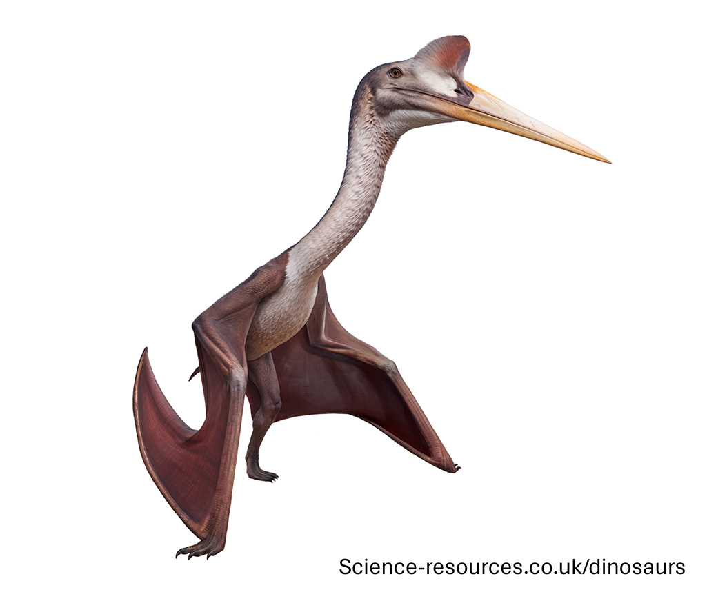 A realistic image of a Quetzalcoatlus.