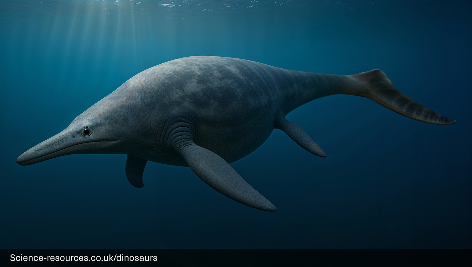 A realistic depiction of an Shonisaurus swimming in a prehistoric ocean.
