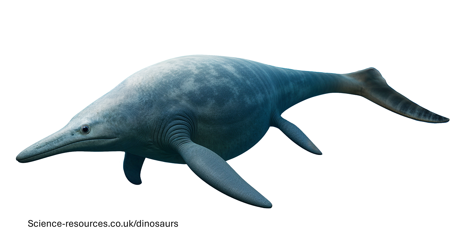 A realistic image of Shonisaurus.