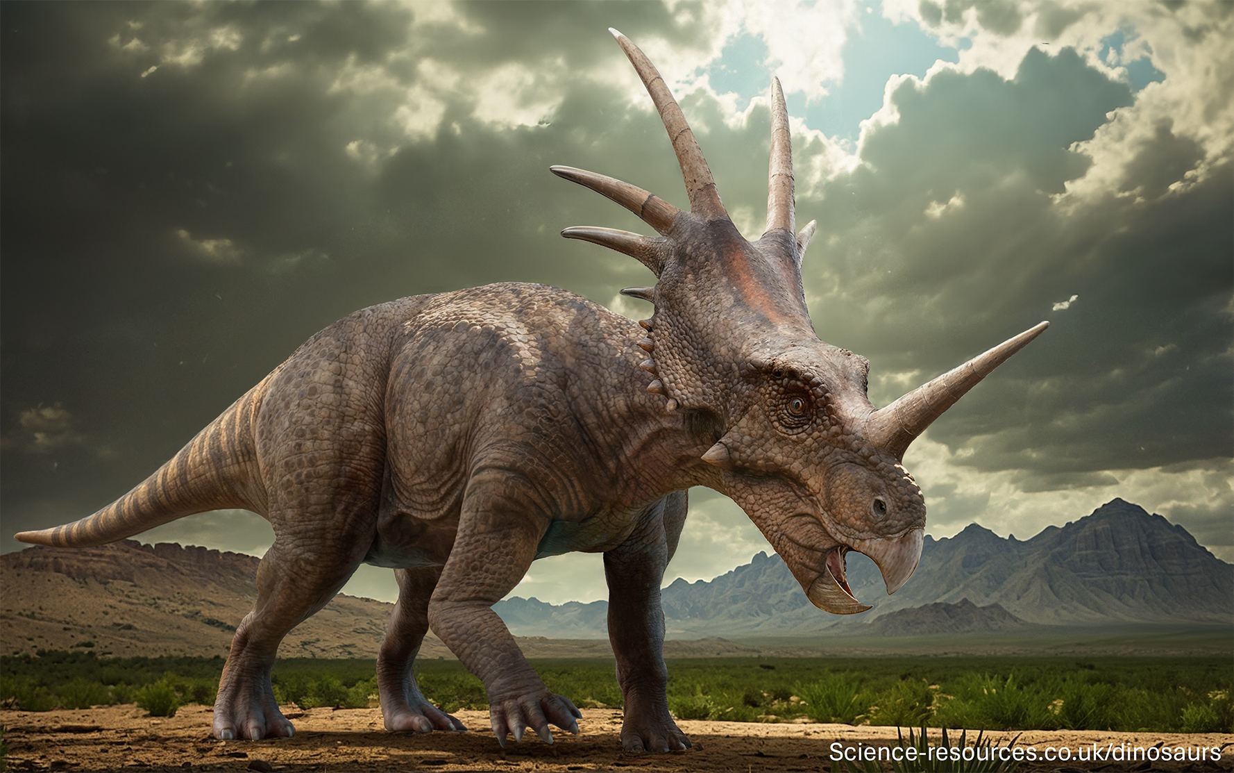 A realistic rendering of a Styracosaurus dinosaur in a prehistoric foreest setting.