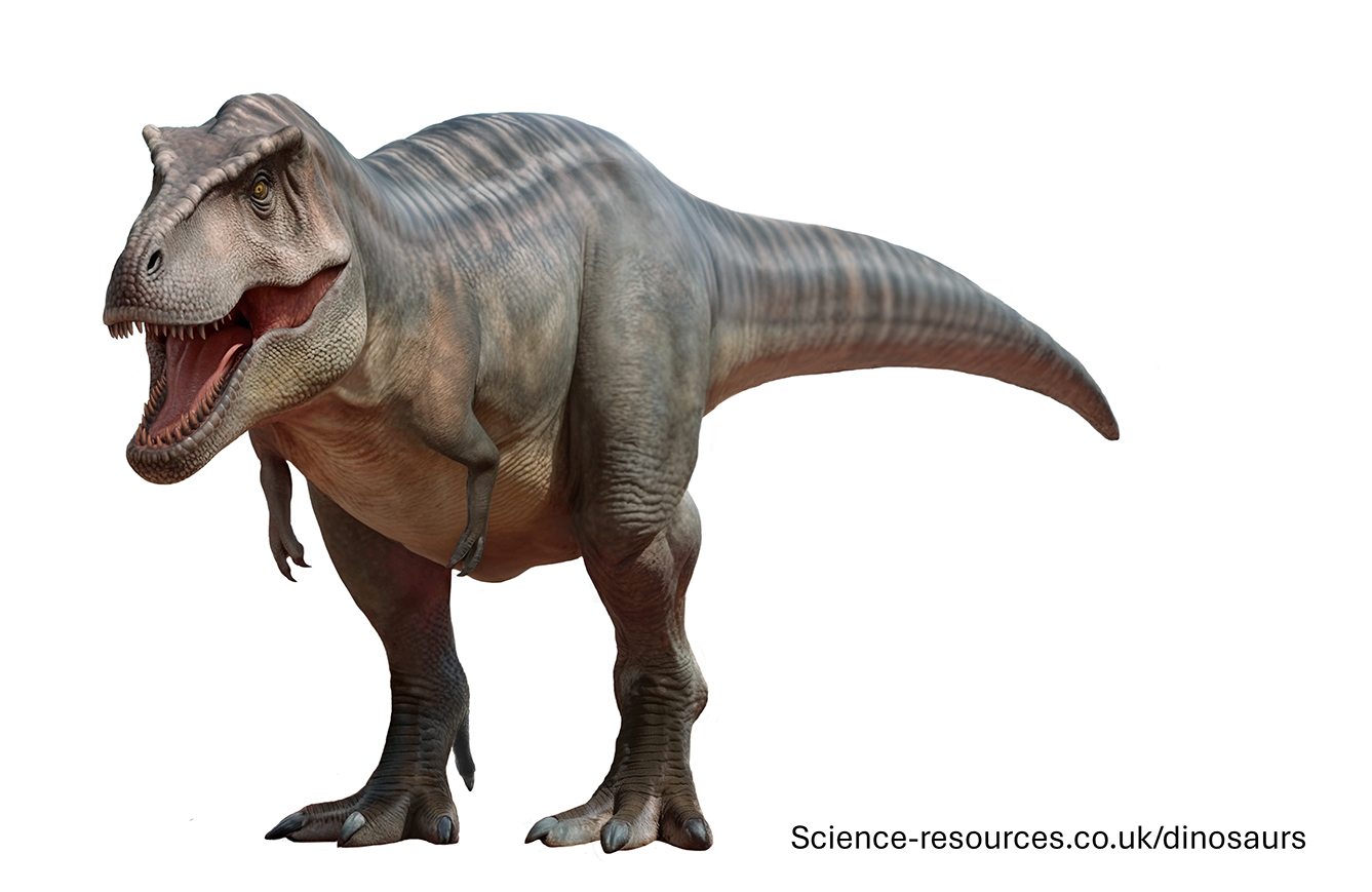 A realistic image of a Tarbosaurus dinosaur.