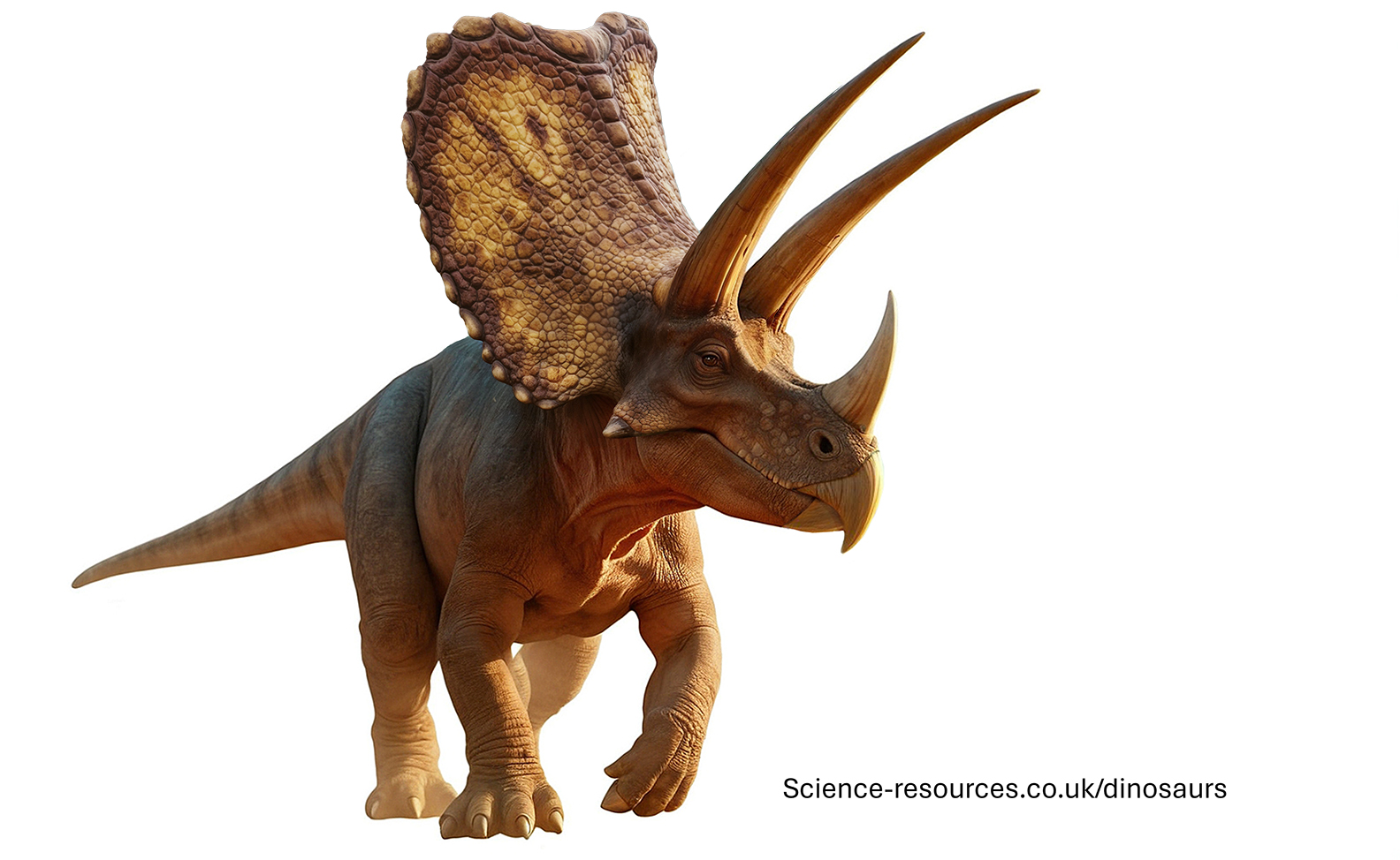 A realistic image of Torosaurus