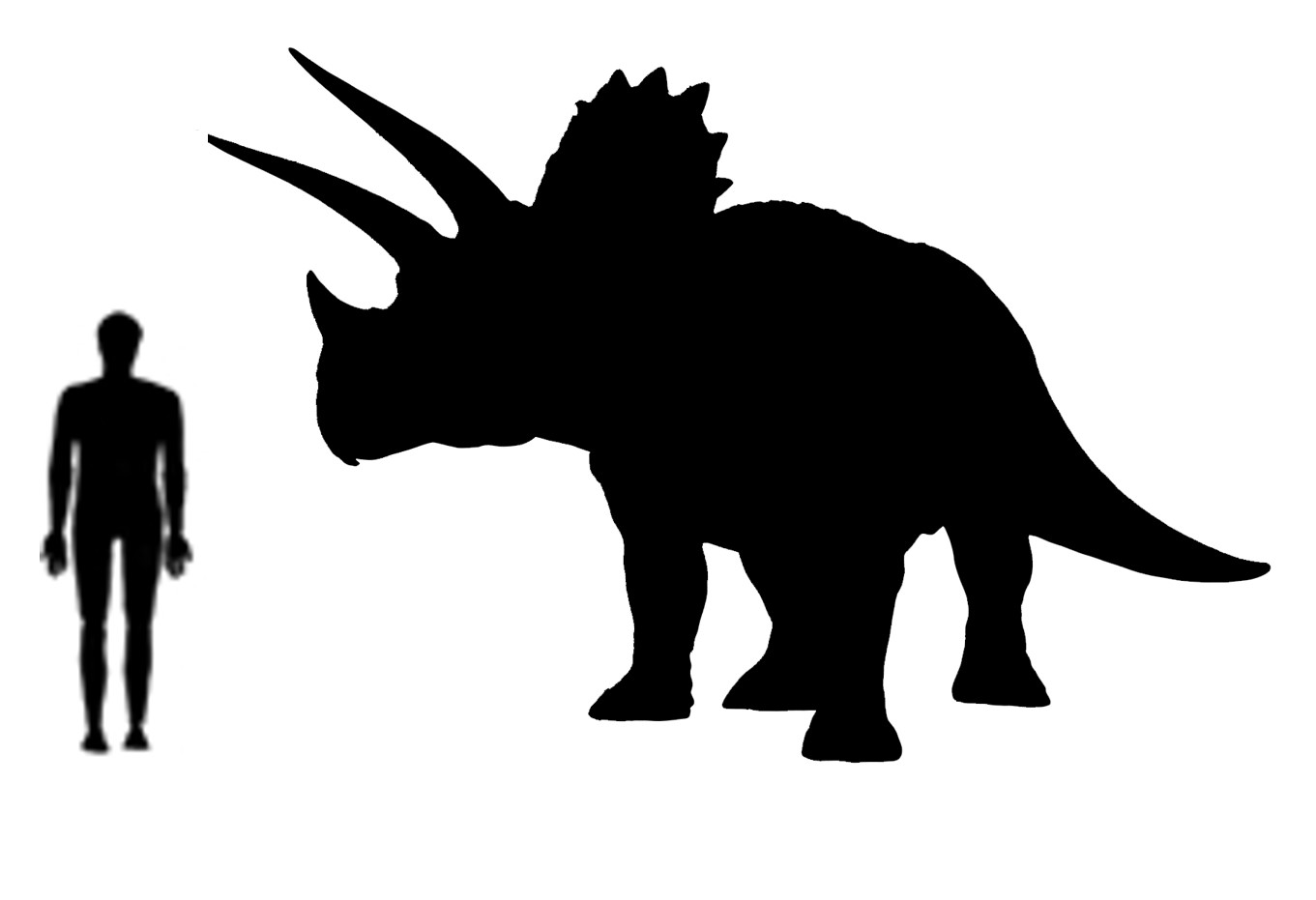 mage showing a size comparison between an adult Triceratops dinosaur (right) versus a human adult (left).