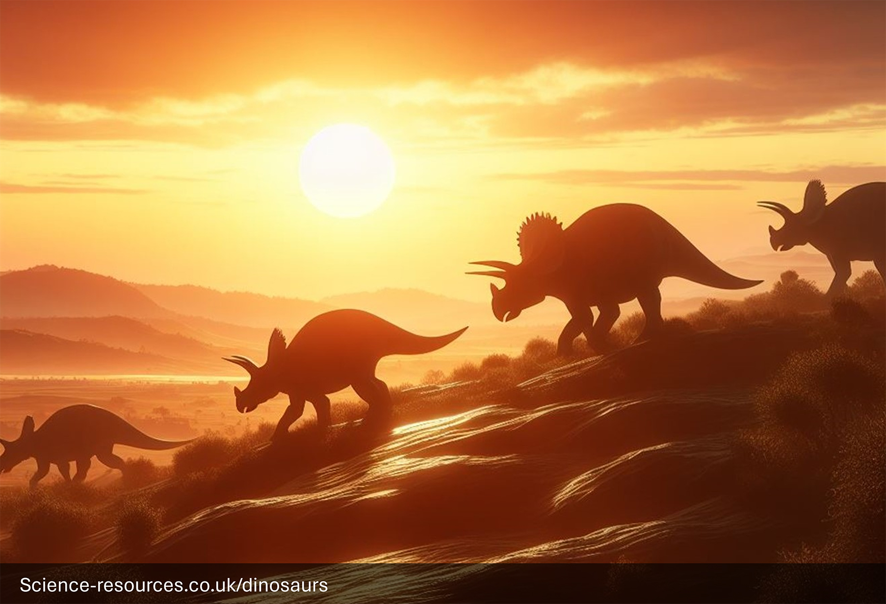 A serene and picturesque scene of a family of four Triceratops dinosaur silhouettes against a backdrop of a beautiful sunset.