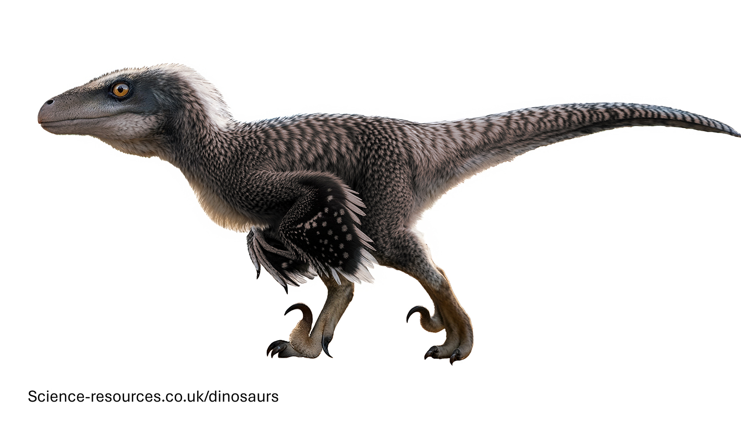 A realistic image of a Utahraptor dinosaur.
