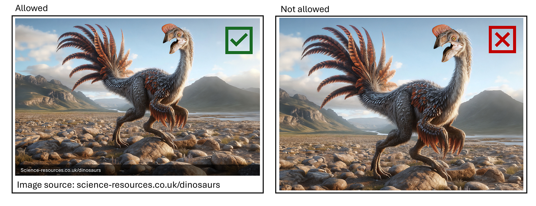 How to use our images.