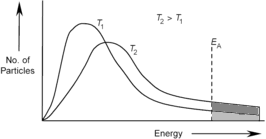 Graph 2