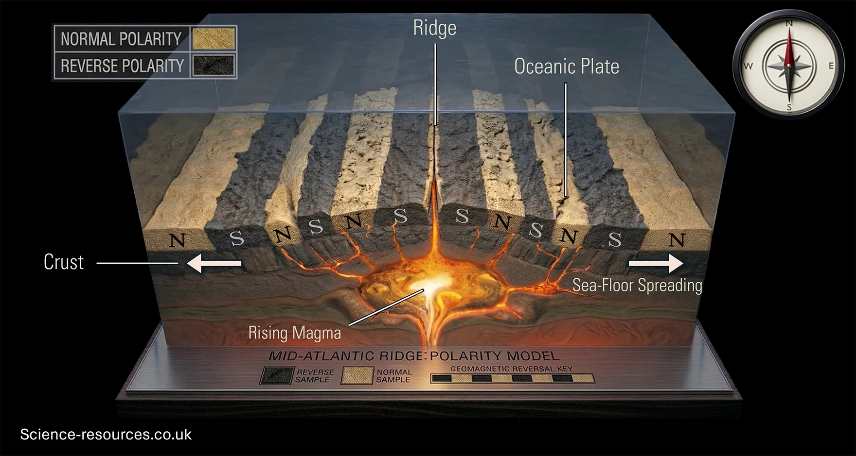 A detailed cross‑section diagram shows a mid‑ocean ridge where new oceanic crust forms. At the centre of the image, a vertical channel of bright orange and yellow rising magma pushes upward through the crust. Above this channel is the ridge, marked with a vertical label. On both sides of the ridge, two oceanic plates move apart, indicated by large horizontal white arrows pointing outward.
The top layer of the diagram displays alternating coloured bands that run parallel to the ridge. These bands represent magnetic polarity reversals. Each band is labelled either N or S, indicating normal or reverse magnetic polarity. A small legend in the upper left corner shows two boxes: one light yellow for normal polarity and one grey for reverse polarity.
Beneath the surface bands, the crust is shown as a brown layer that extends outward on both sides. The lower section of the diagram shows glowing red and orange magma beneath the crust. A label reading Rising Magma points to the central upwelling.
A compass graphic in the top right corner shows cardinal directions with the needle pointing north. Text on the base of the diagram reads Mid‑Ocean Ridge: Magnetic Striping Diagram. 