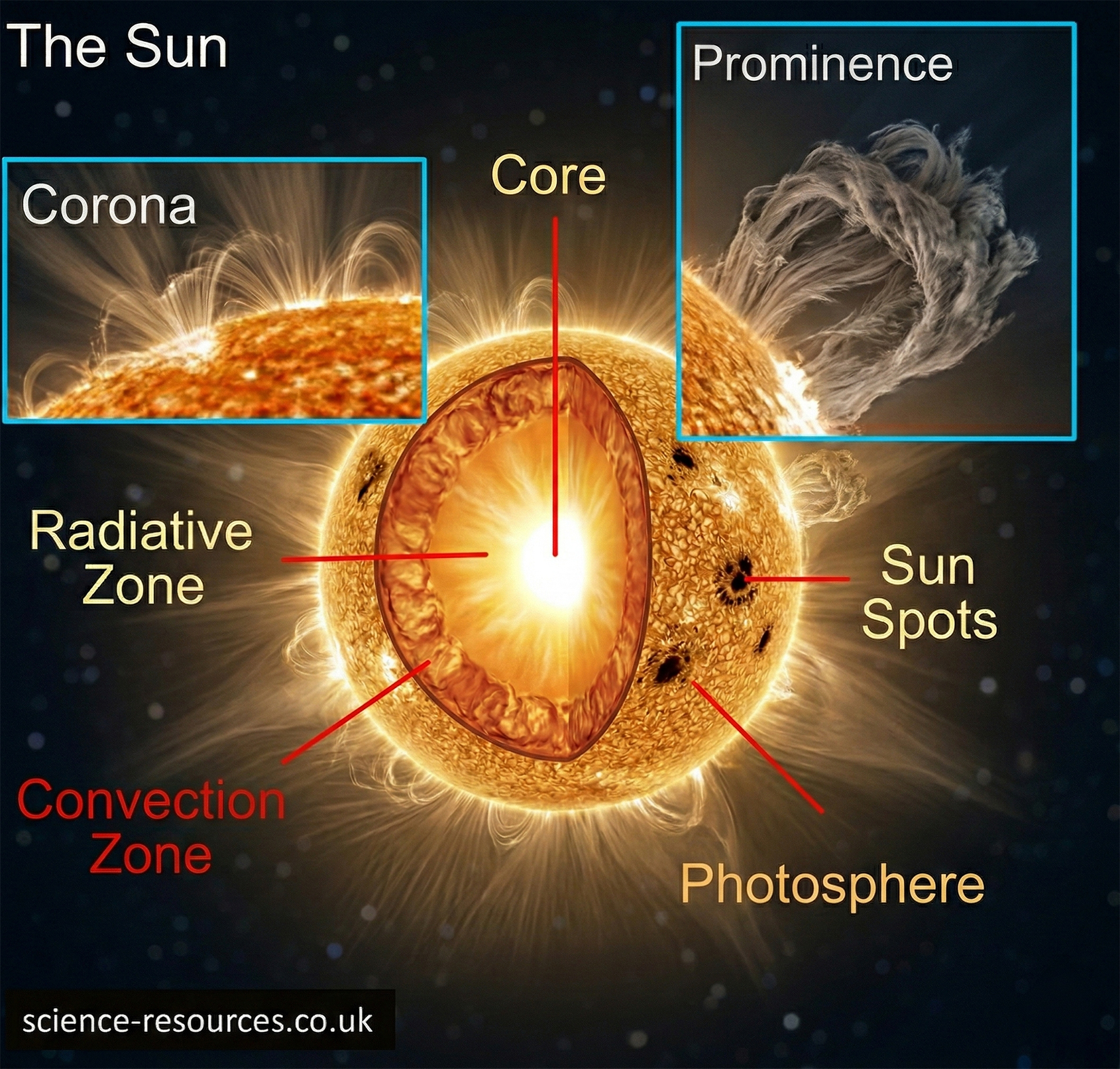 This diagram provides a high-definition, realistic cross-section and surface view of the Sun against a dark, starry background.

Central Sun Model
The Sun is depicted as a glowing sphere with a large wedge cut out to reveal its internal structure. The layers are shown with detailed plasma textures:

Core: A brilliant, white-hot center at the heart of the Sun.

Radiative Zone: A thick, glowing orange layer surrounding the core where energy moves outward via radiation.

Convection Zone: The outermost internal layer, shown with a turbulent, roiling texture representing the movement of hot plasma.

Photosphere: The visible "surface" of the Sun, featuring a grainy, golden texture and several dark, irregular Sunspots.

Inset Detail Boxes
Two light-blue framed boxes at the top provide "zoomed-in" views of solar phenomena:

Corona (Top Left): Shows the Sun's outer atmosphere with delicate, glowing loops and wispy filaments of plasma extending into space.

Prominence (Top Right): Displays a massive, dark, arched loop of plasma anchored to the solar surface and extending high into the corona, mirroring the shape of the original reference image.